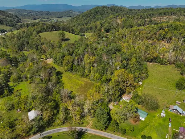 29041 Smyth Chapel Rd, Meadowview, VA 24361