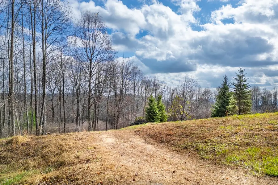 3.8 Acre Dogwood Ridge, Fancy Gap, VA 24328 - Image #2