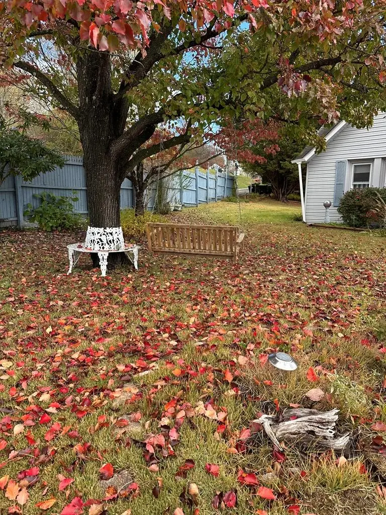 502 Powerhouse Rd, Independence, VA 24348 - Image #2