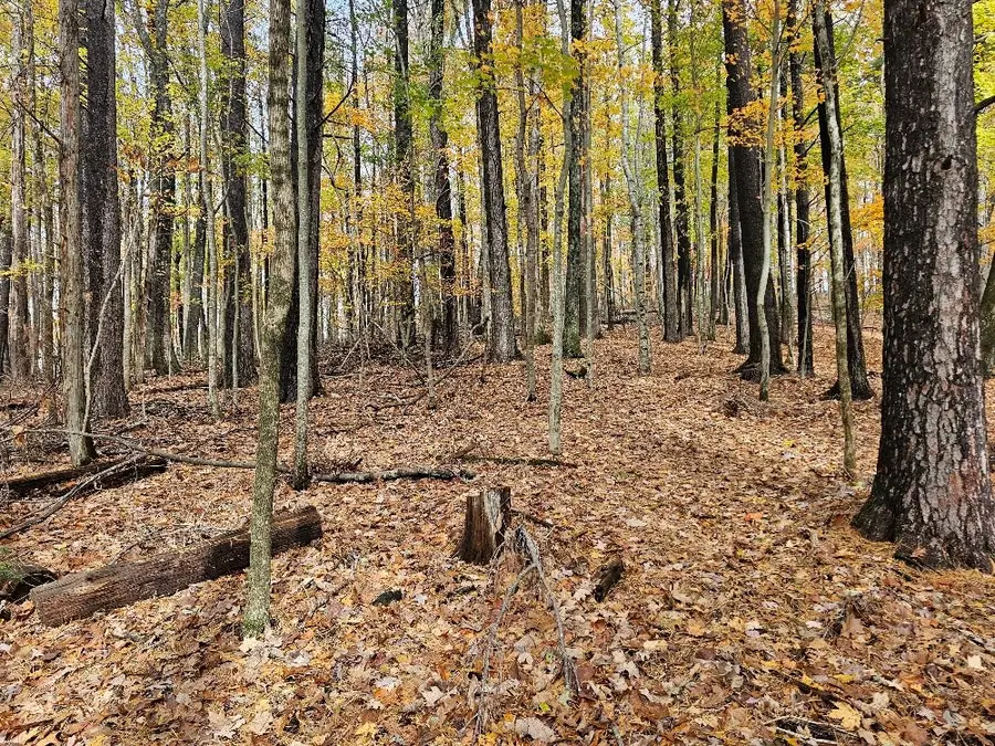 TBD Wild Flower Ln, Galax, VA 24333 - Image #2