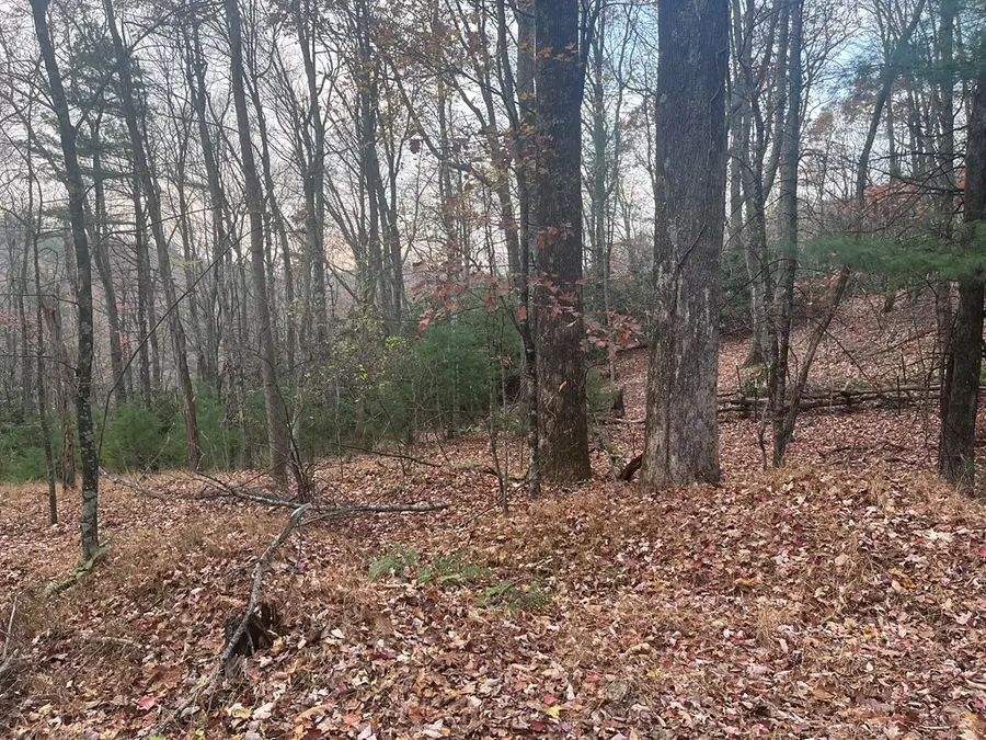 129c6c14 Rock Ledge Tr, Fancy Gap, VA 24328 - Image #2