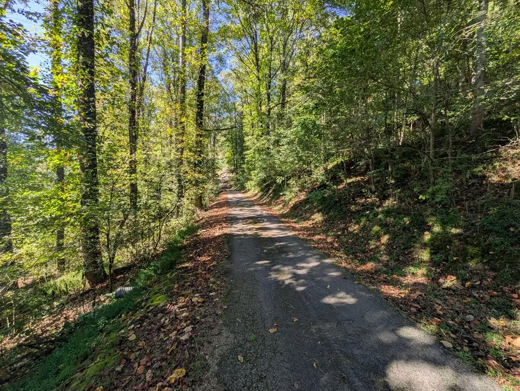 TBD Cypress St, Oakwood, VA 24631 - Image #1