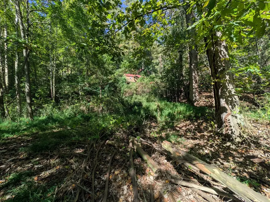 TBD Cypress St, Oakwood, VA 24631 - Image #3