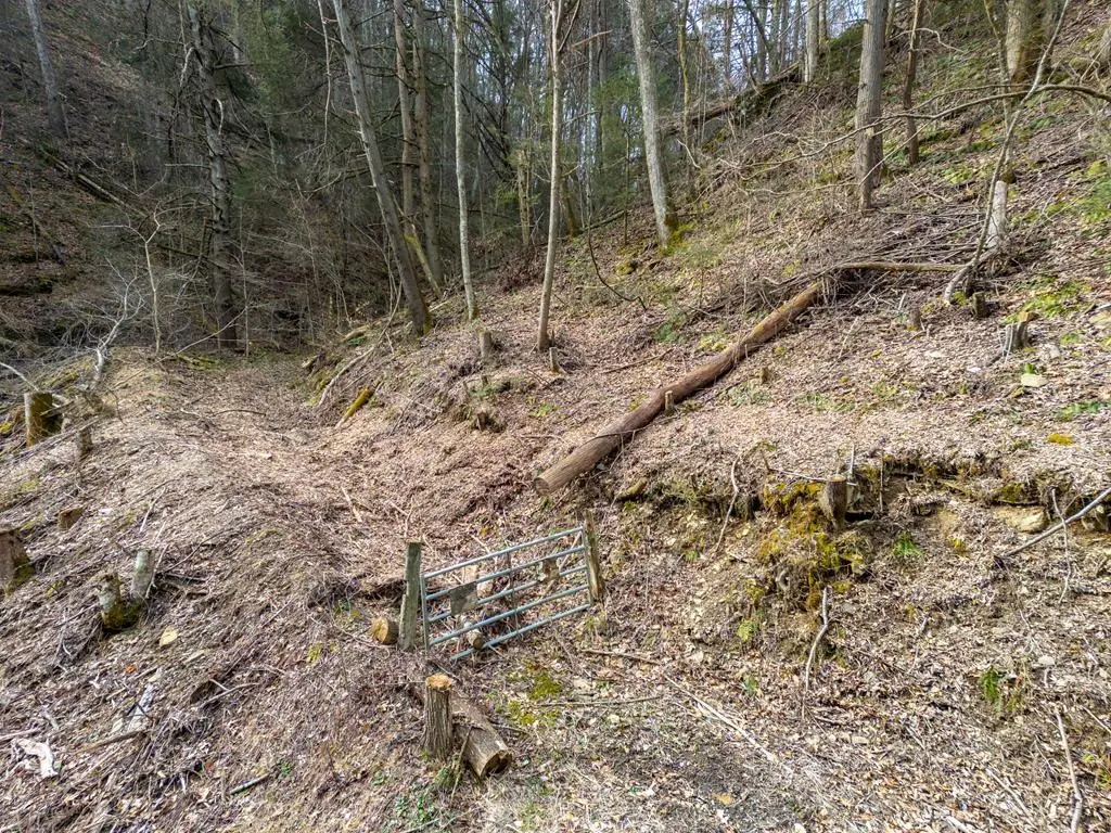 TBD Cove Creek, Bristol, VA 24202 - Image #1