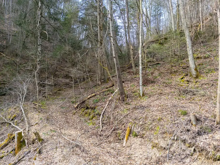 TBD Cove Creek, Bristol, VA 24202 - Image #3