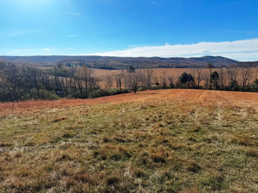 85 acre Coffey Rd, Max Meadows, VA 24360 - Image #2