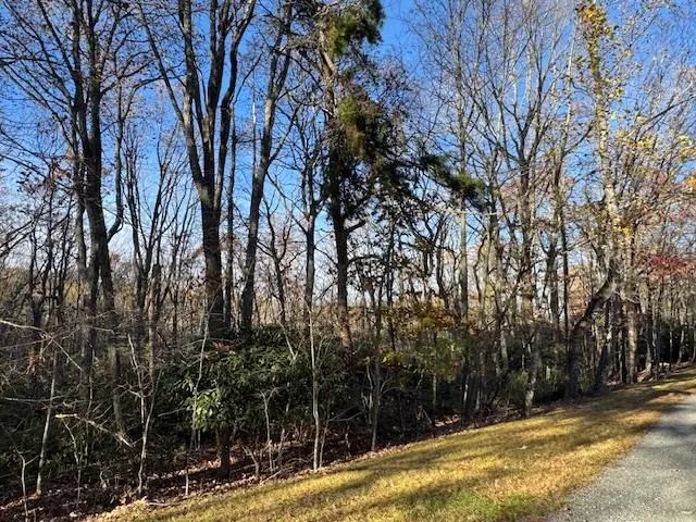 TBD Crooked White Oak Tr, Hillsville, VA 24343 - Image #1
