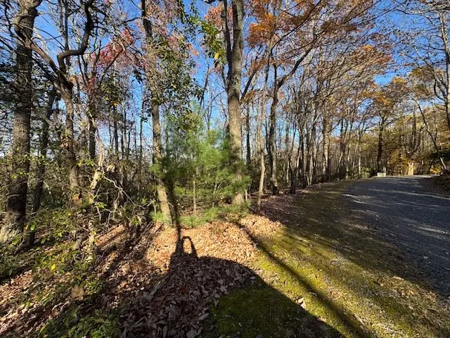 TBD Crooked White Oak Tr, Hillsville, VA 24343 - Image #2