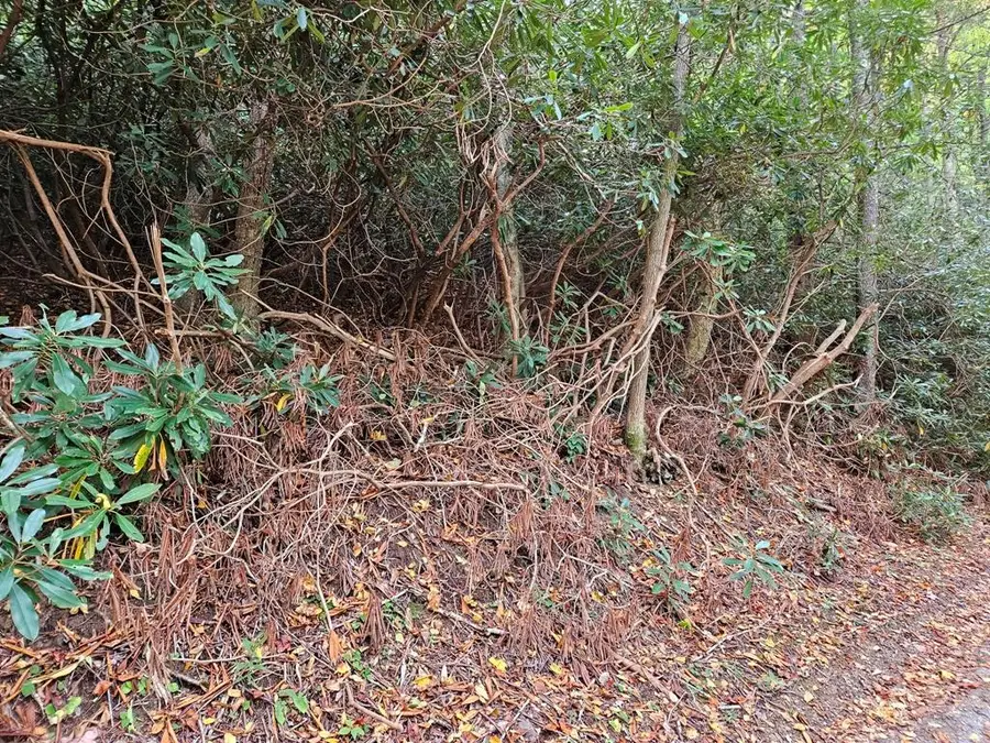 Lot 14B Pennington Branch Road, Damascus, VA 24236 - Image #2