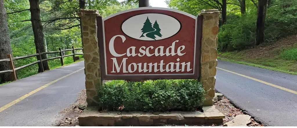 00 Chestnut Ridge Tr, Fancy Gap, VA 24328 - Image #1