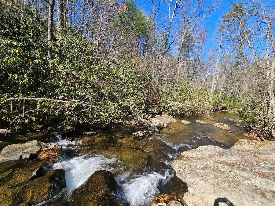 902 Sandy Level Rd, Woodlawn, VA 24381 - Image #3