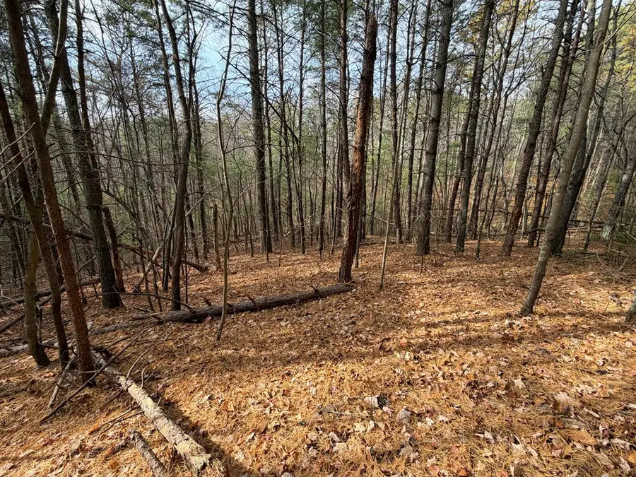 TBD Caution Tape Road, Cana, VA 24317 - Image #3