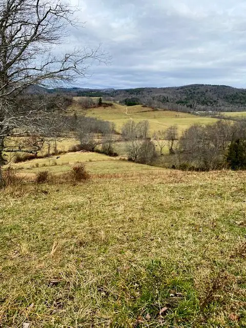 7874 Flatridge Road, Troutdale, VA 24378 - Image #3