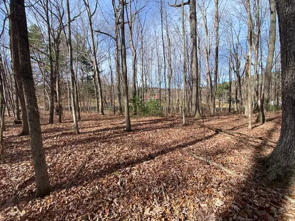 Lot 5 Ivanhoe Road, Max Meadows, VA 24360