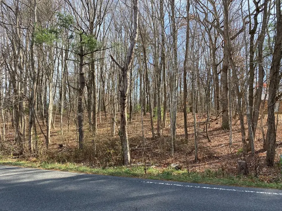 Lot 5 Ivanhoe Road, Max Meadows, VA 24360 - Image #2