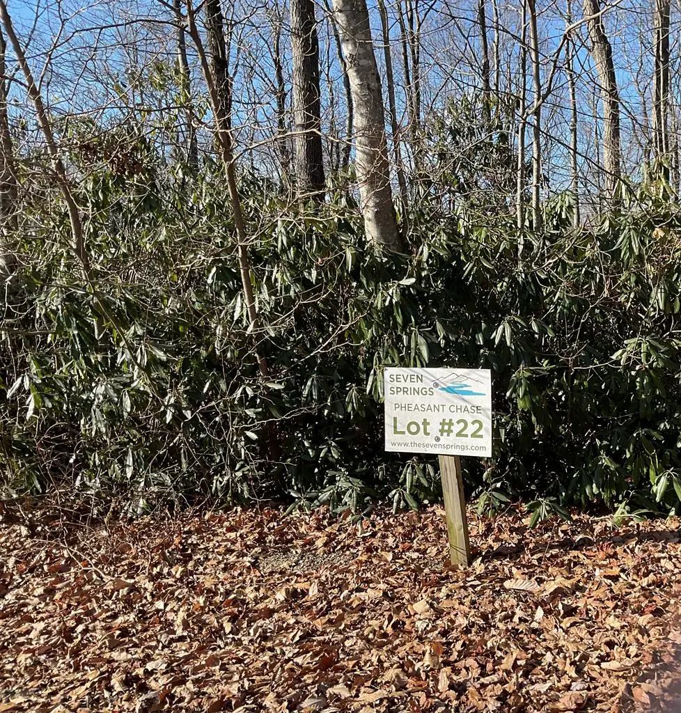 TBD West Pheasant Chase, Fancy Gap, VA 24328 - Image #1