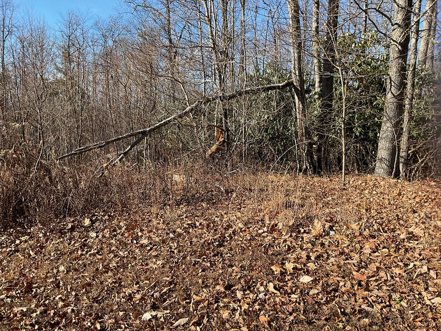 TBD West Pheasant Chase, Fancy Gap, VA 24328 - Image #2