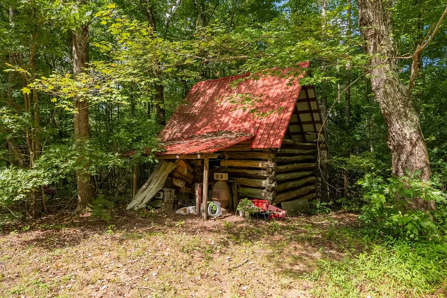 971 Flint Hill Rd, Cana, VA 24317 - Image #3