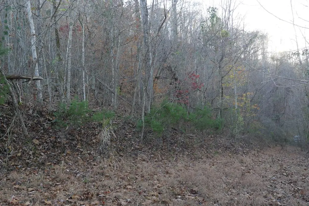 TBD Bristol Highway, Bristol, VA 24202 - Image #1