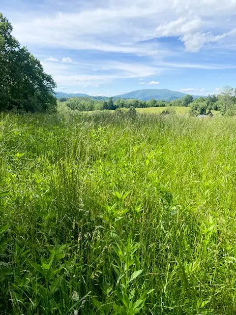 TBD Cornerstone Road, Independence, VA 24348 - Image #2