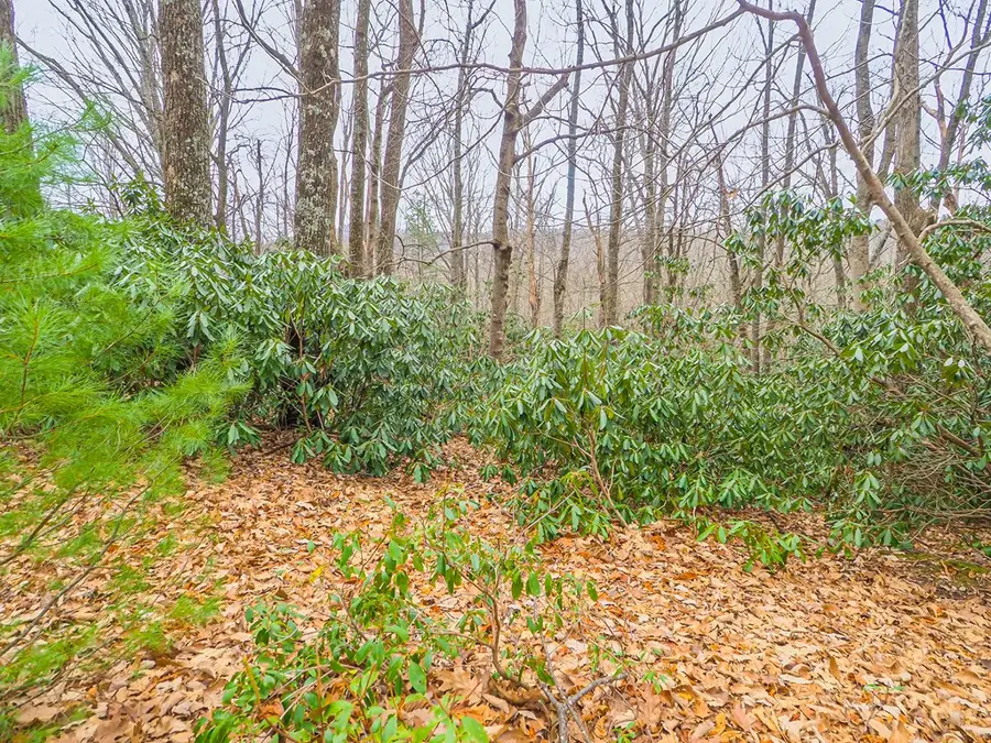 TBD Spring Lure Trl, Fancy Gap, VA 24328 - Image #2