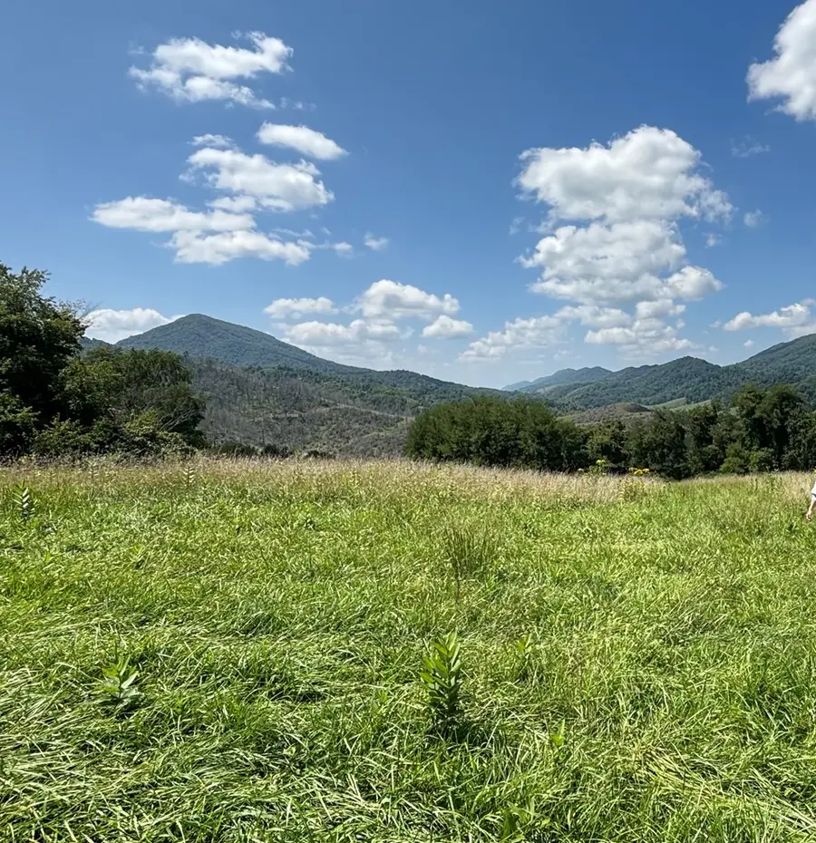 TBD Crab Orchard Road, Tazewell, VA 24651 - Image #2