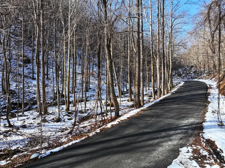 00 Shooting Creek Rd, Floyd, VA 24091 - #3