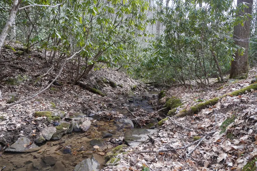 TBD Reynolds Ridge Road, Bandy, VA 24602 - Image #2