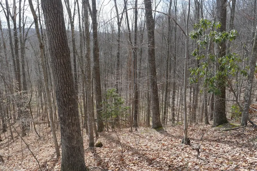 TBD Reynolds Ridge Road, Bandy, VA 24602 - Image #3