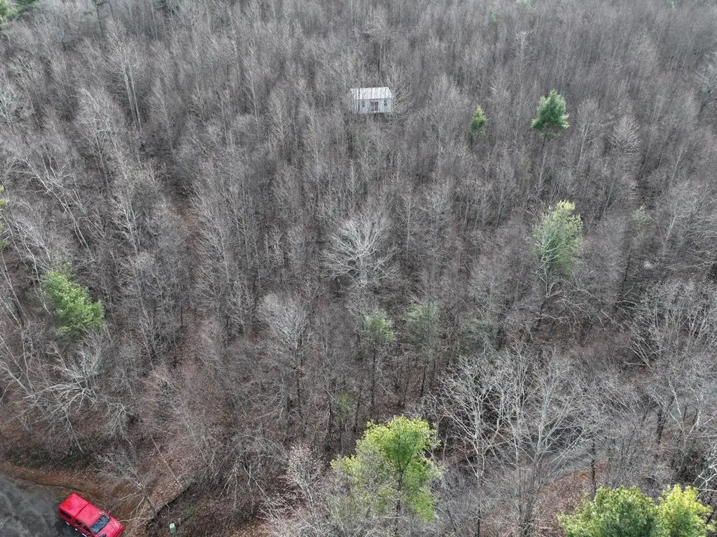 0 Shelor, Meadows Of Dan, VA 24120 - Image #1