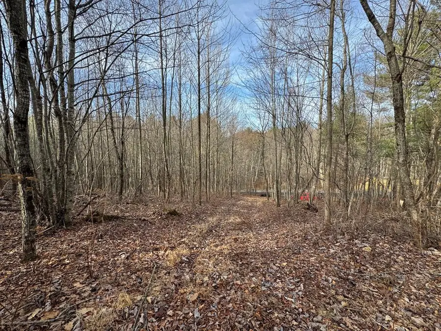 0 Shelor, Meadows Of Dan, VA 24120 - Image #2