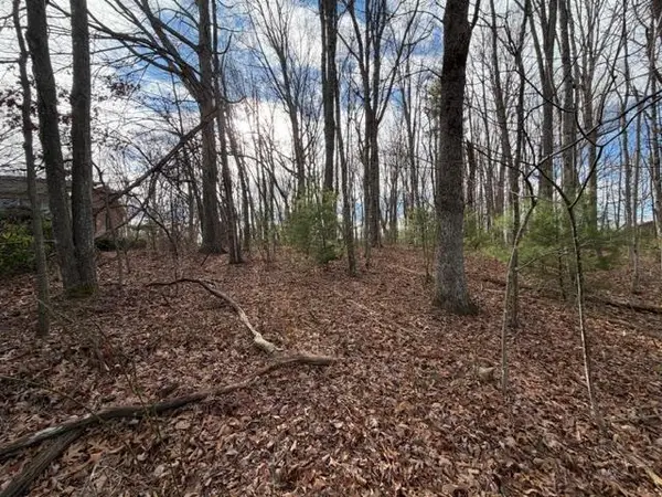 Lots 3&4 Ivanhoe Road, Max Meadows, VA 24360