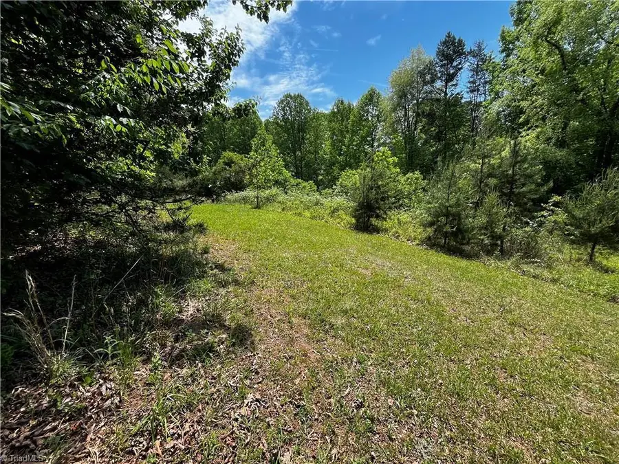 0000 Virgilina Circle, Cana, VA 24317 - #2