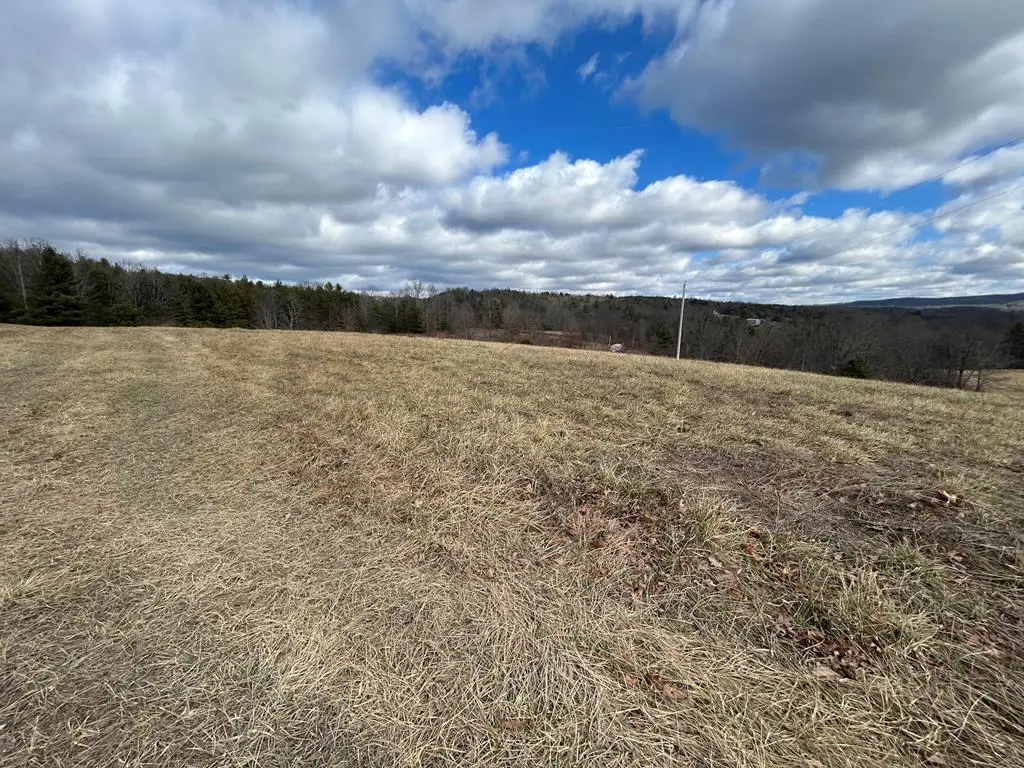 6.86 ac Meadow View Lane, Max Meadows, VA 24360 - Image #1