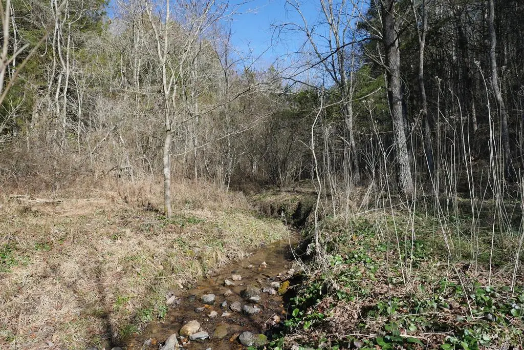 TBD Dean Road, Rose Hill, VA 24281 - #1