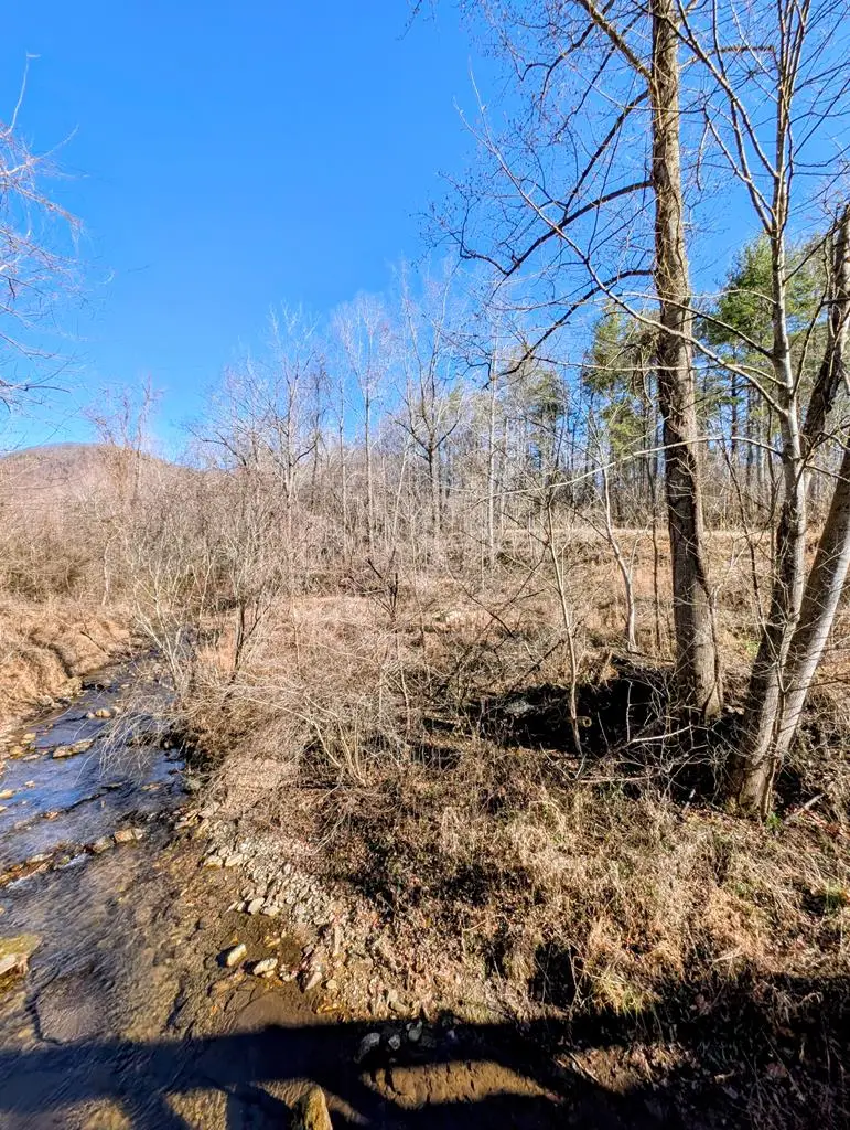 TBD Simon Lane, Ararat, VA 24053 - Image #1