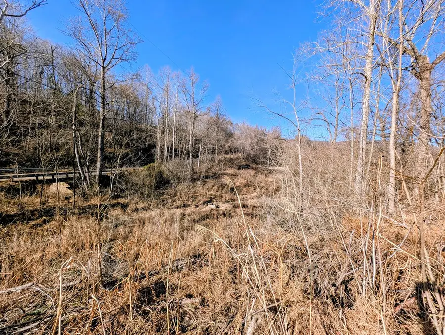 TBD Simon Lane, Ararat, VA 24053 - Image #3