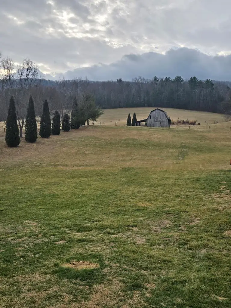 1481 Dry Rd, Speedwell, VA 24374 - Image #3