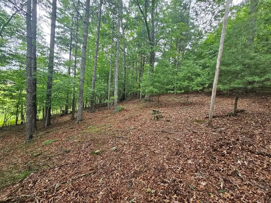 188 Mallard Ln, Fries, VA 24330 - Image #3