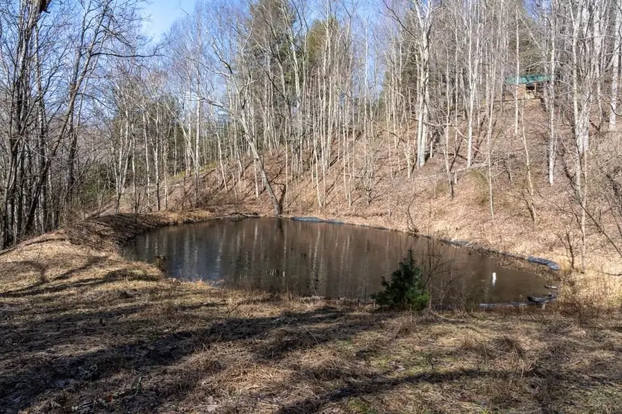 TBD Marthas Lane, Troutdale, VA 24378 - Image #2