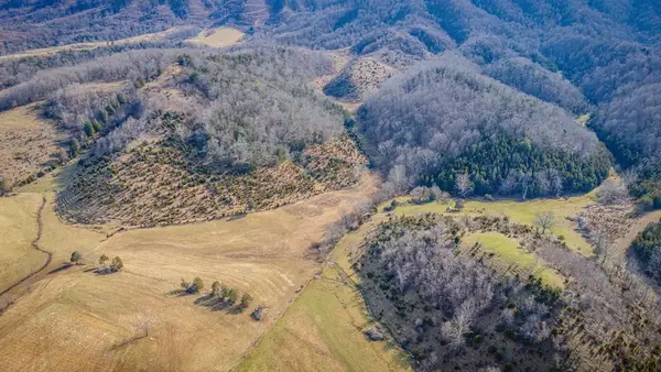 TBD Clinch Mountain Road, Lebanon, VA 24266