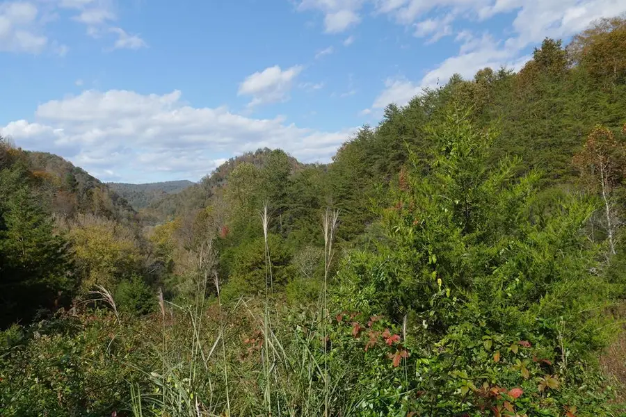 TBD Fairview Road, Blackwater, VA 24221 - Image #2