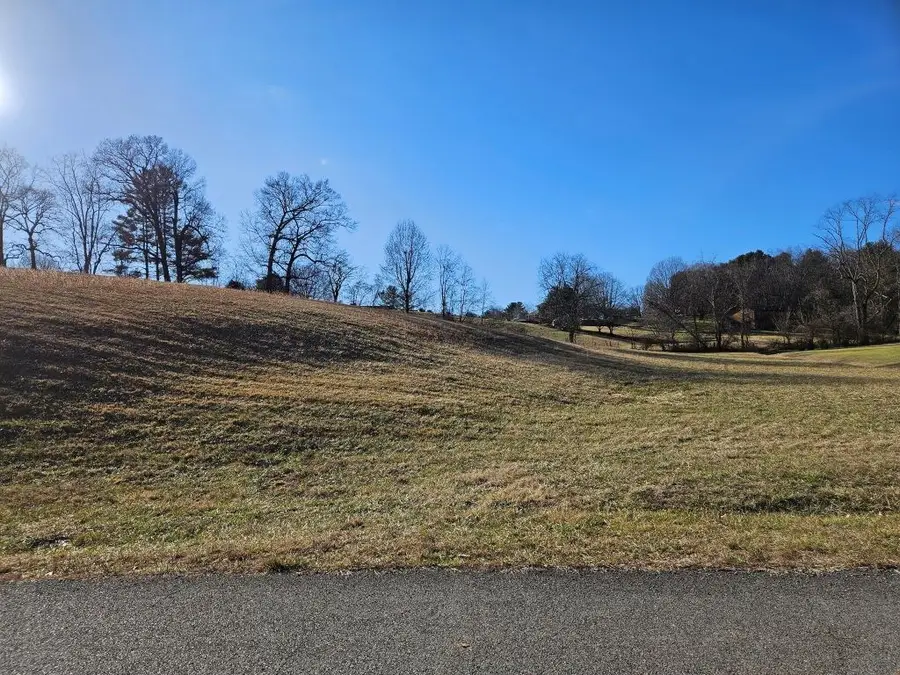 Lot 119 Yeary Trail, Abingdon, VA 24210 - #3