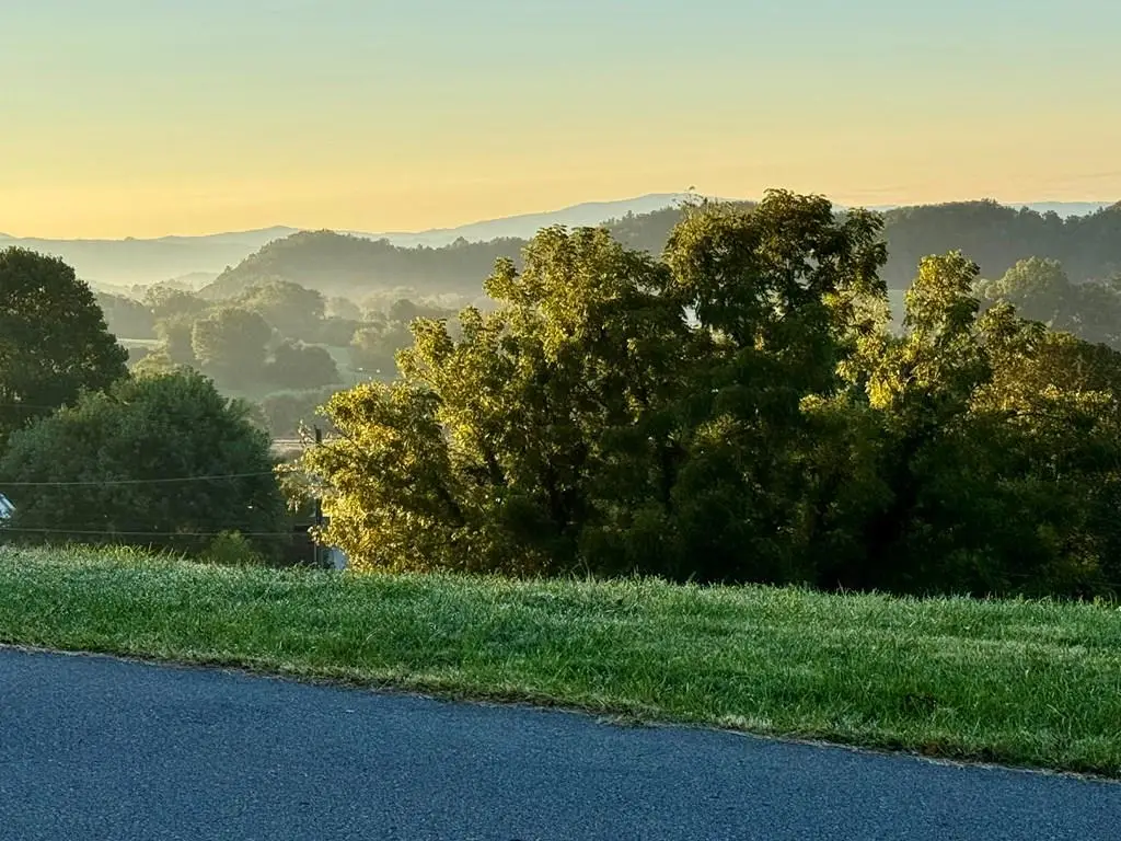 TBA Panorama Drive, Abingdon, VA 24210 - Image #1