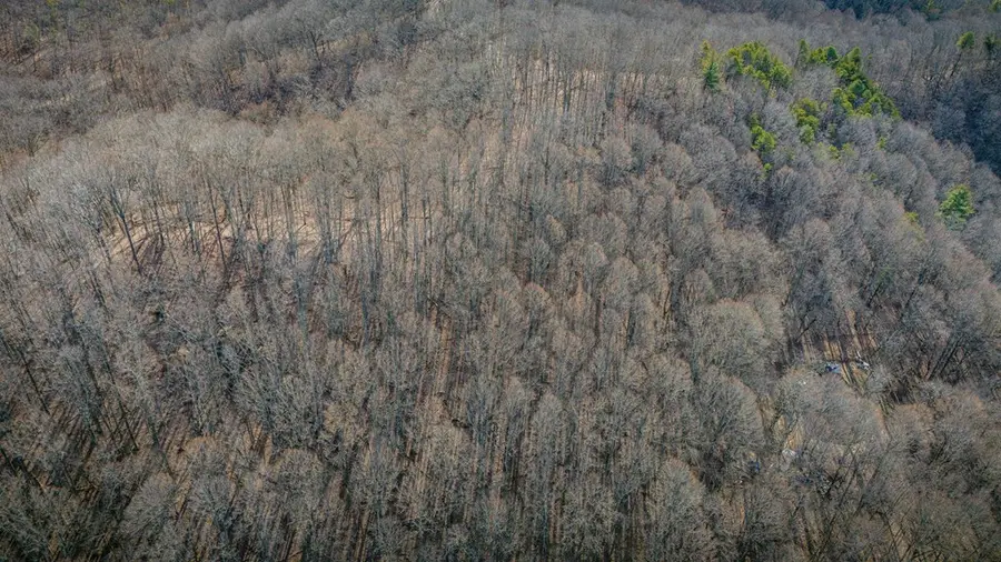 TBD Belmont Ave, Bluefield, VA 24605 - Image #2