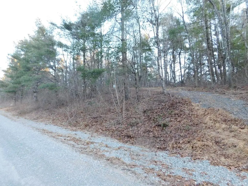 Lot 32 Hickory Hollow Rd, Copper Hill, VA 24079 - Image #1