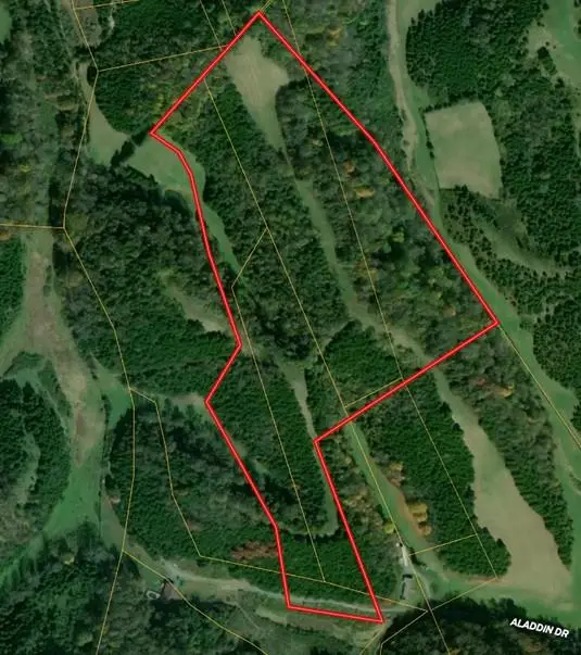 TBD Aladdin Drive, Cedar Bluff, VA 24609 - #1