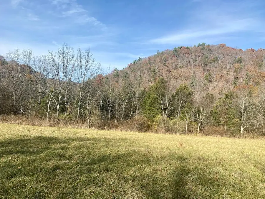 Lots 5,6 Lee Highway, Wytheville, VA 24382 - #2