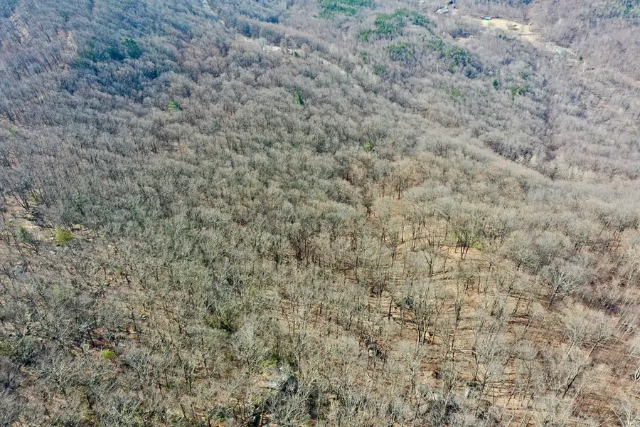 TBD Fancy Gap Highway, Fancy Gap, VA 24328 - #3