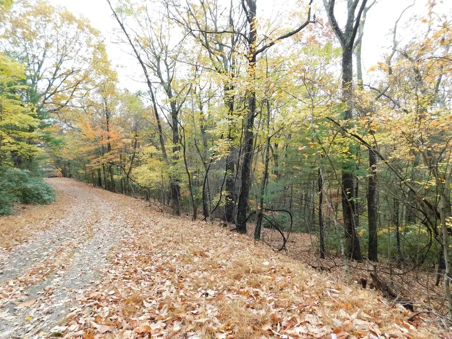 C11-C12 Little Ridge Trail, Fancy Gap, VA 24328 - #2